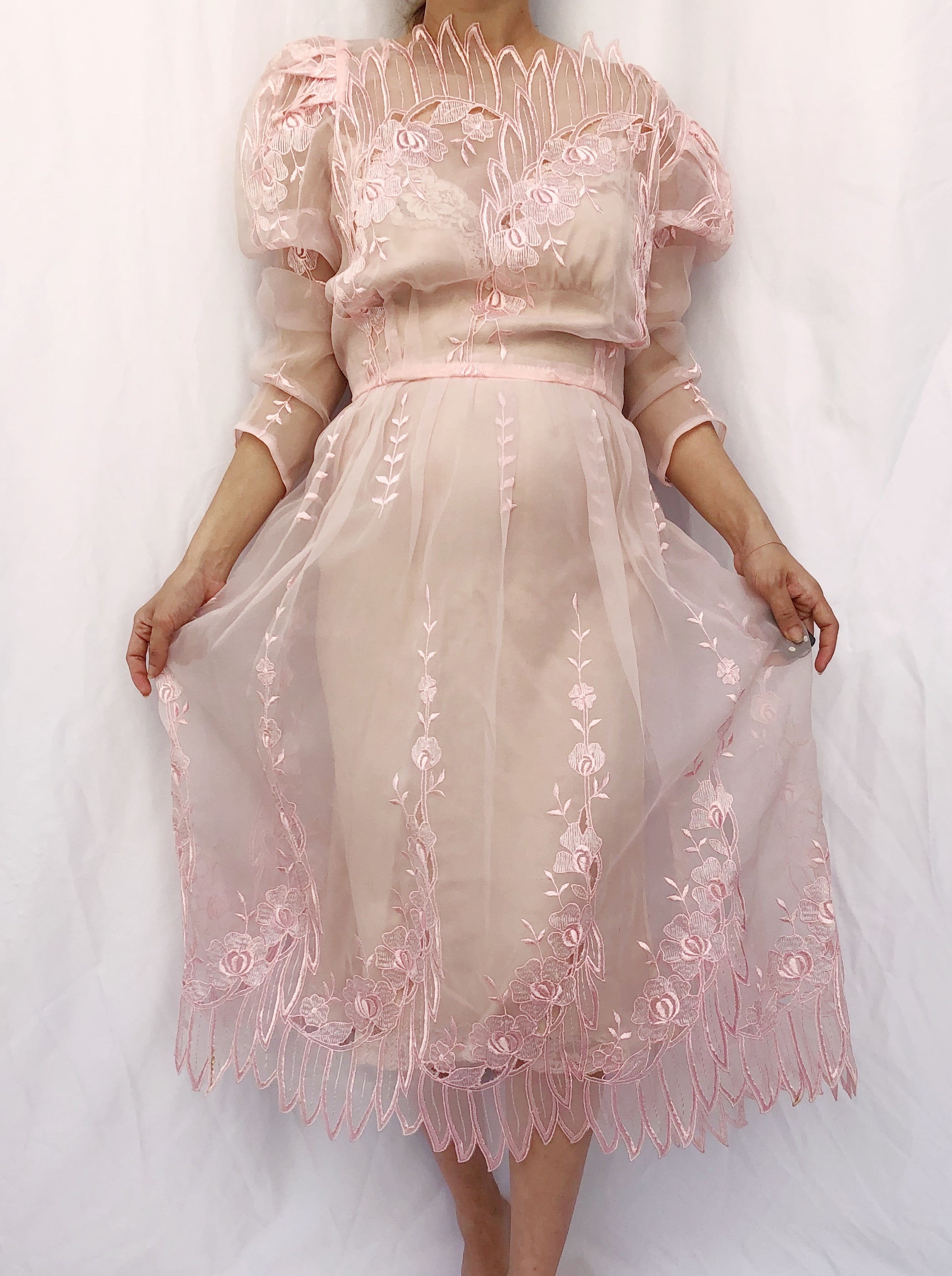 Vintage Pink Sheer Embroidered Dress ...